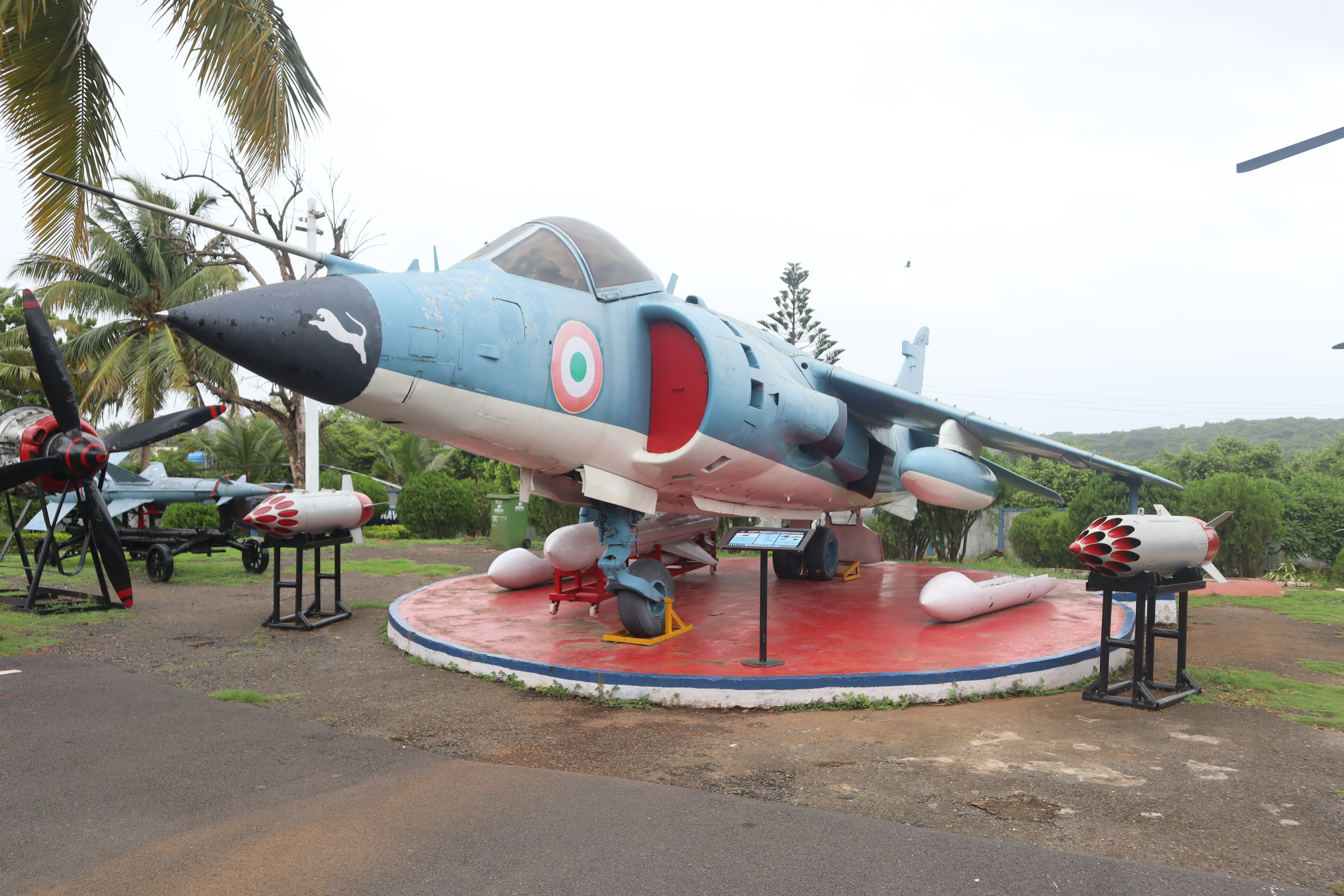 Sea Harrier